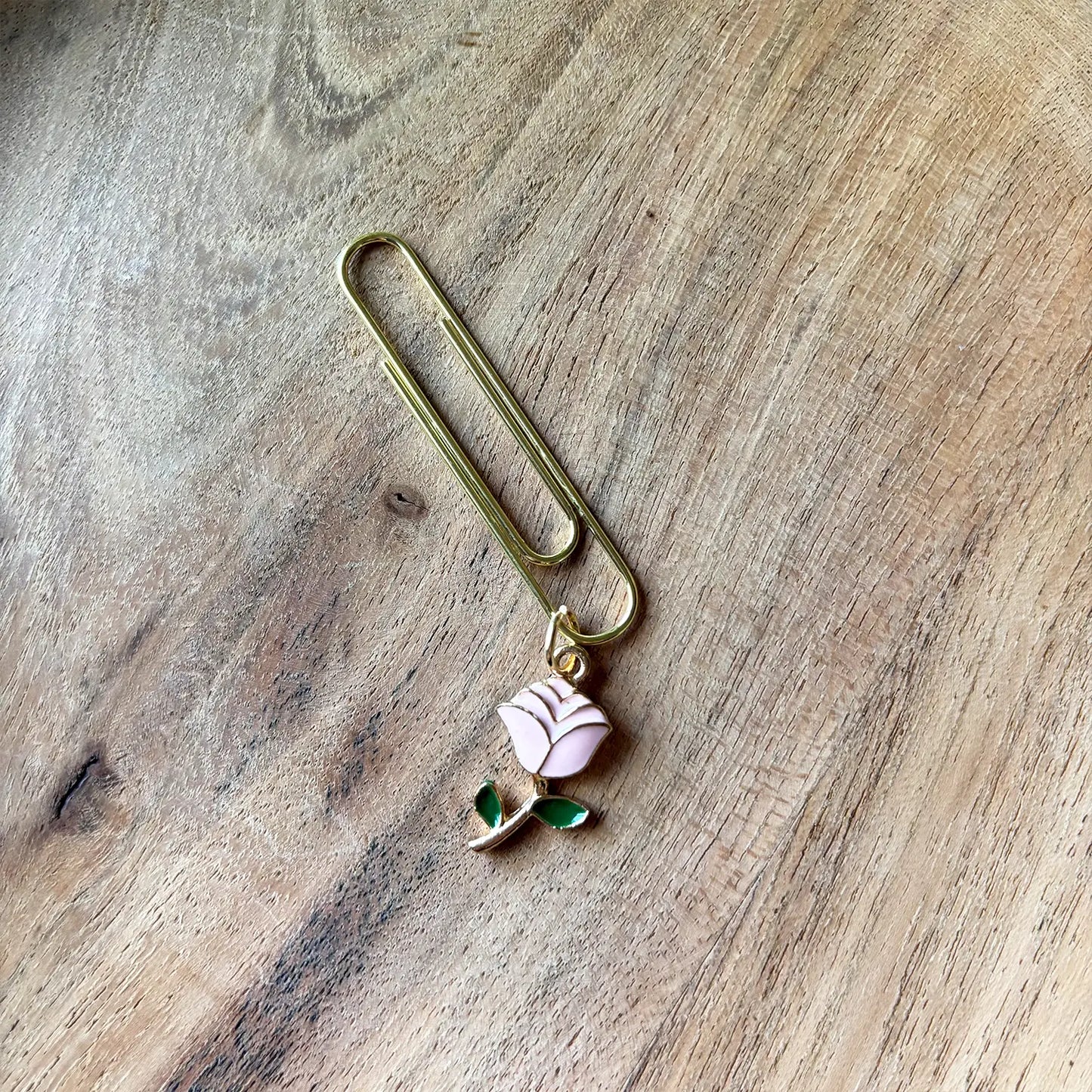 Clip de jardin de roses