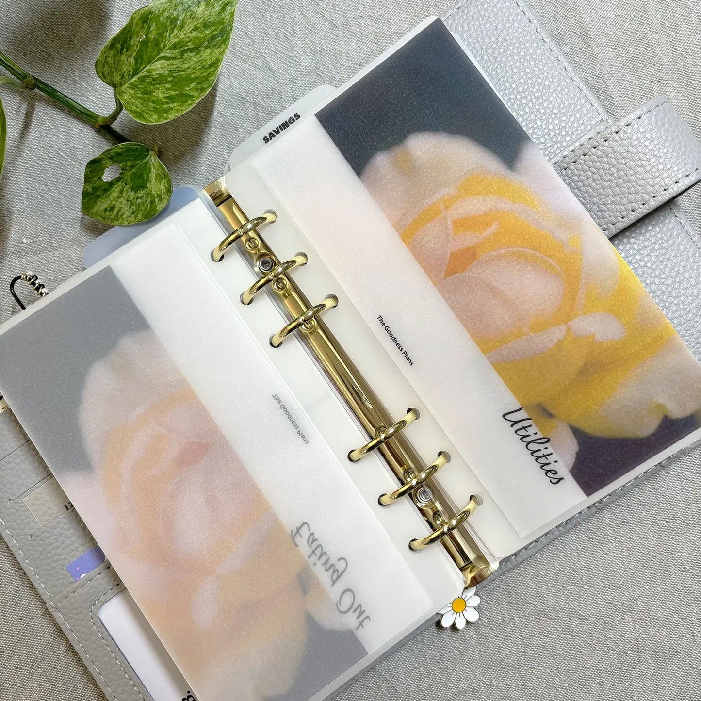 Enveloppe d'argent liquide Sérénade jaune doux