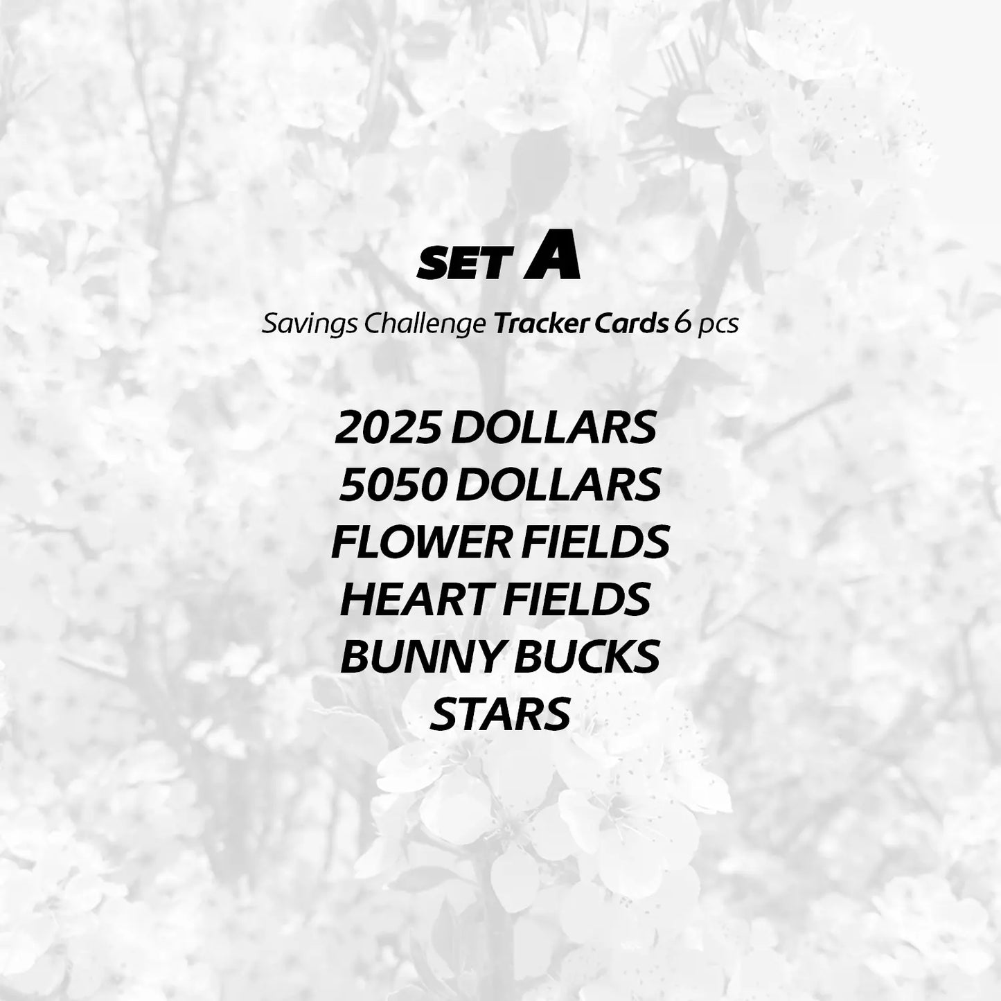Savings Challenge – Tracker Card Set - A7