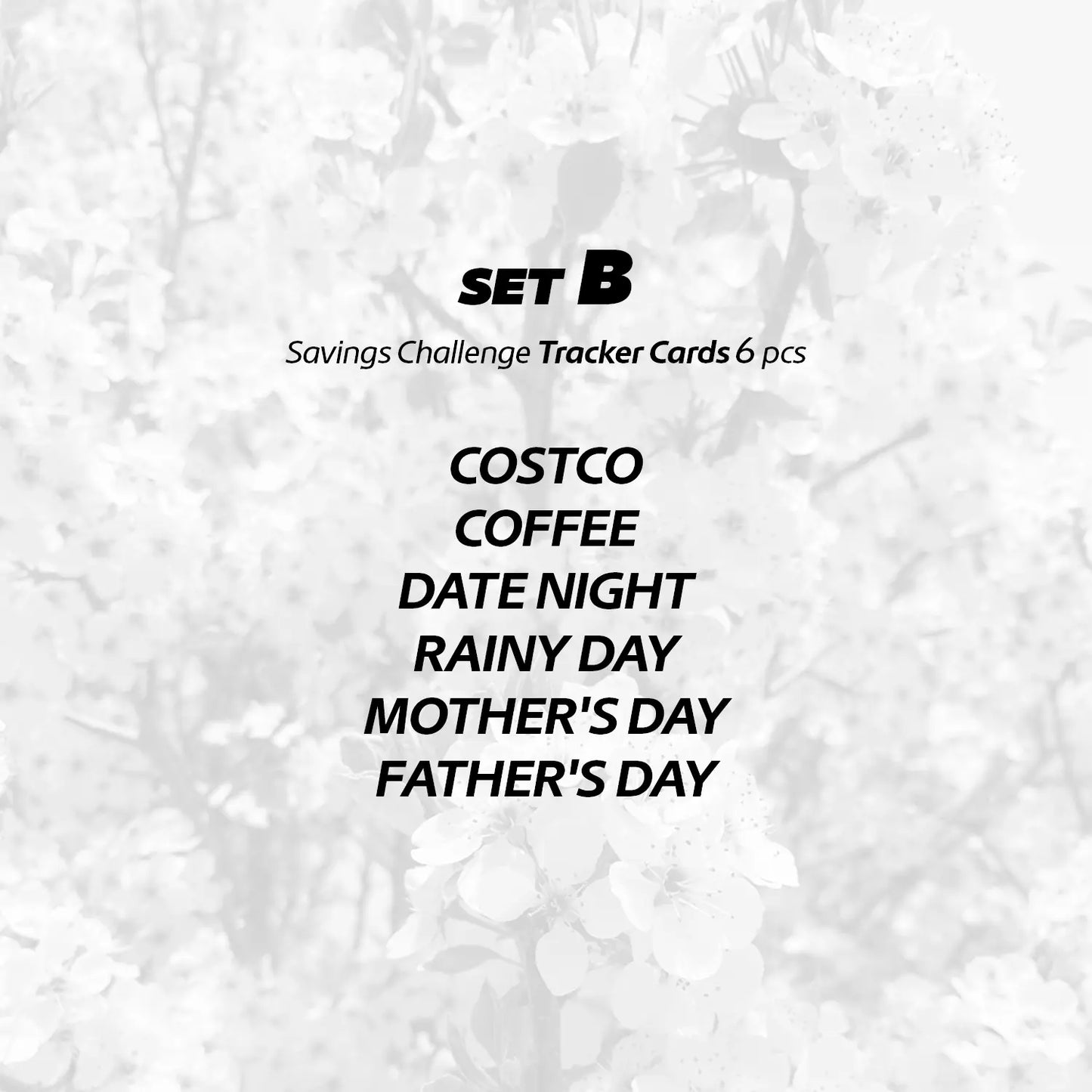Savings Challenge – Tracker Card Set - A7