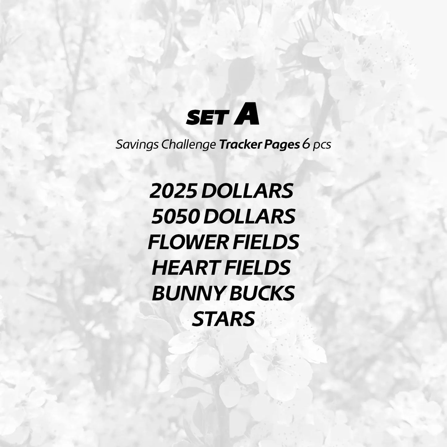 Savings Challenge - Tracker Pages Set - A6 / Personal