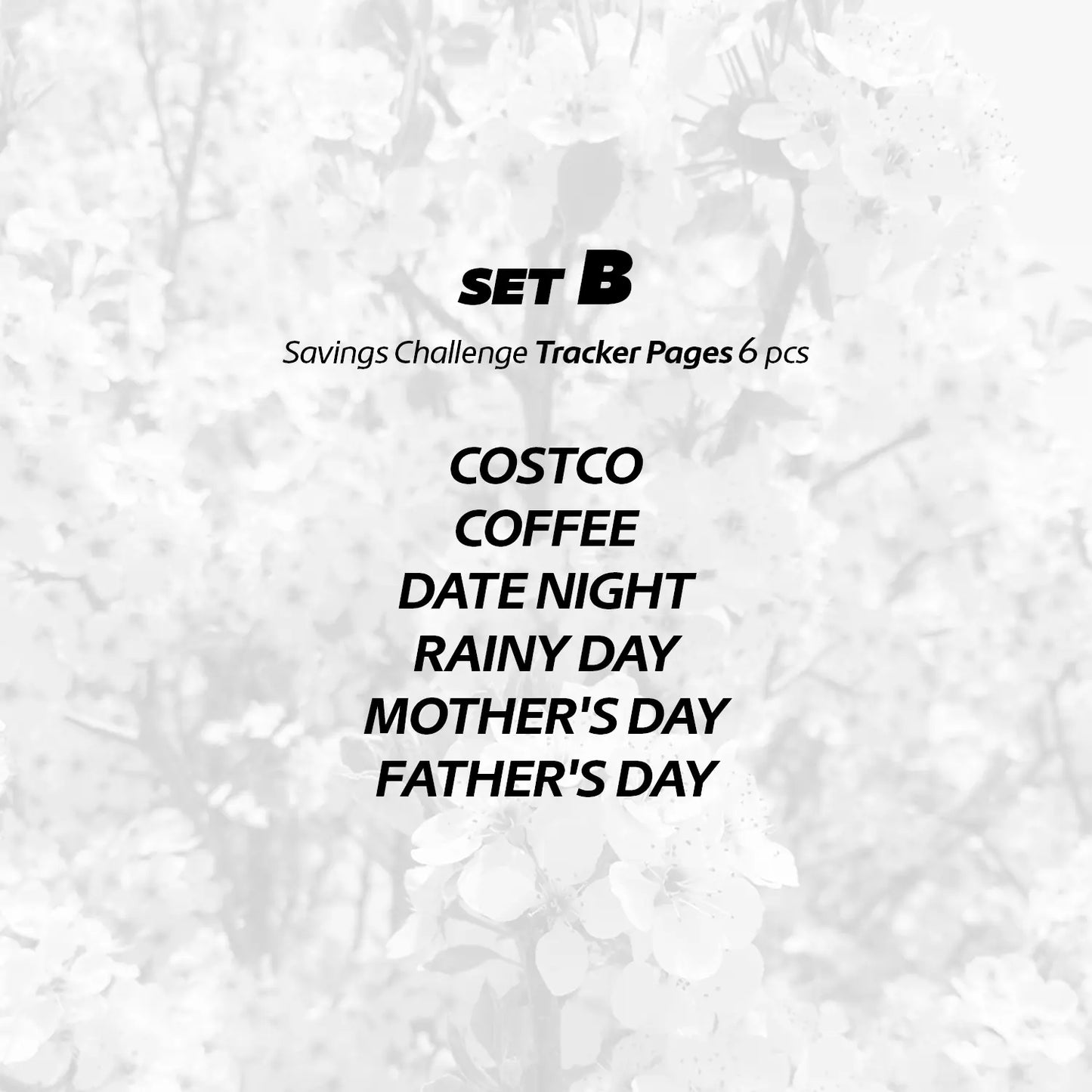 Savings Challenge - Tracker Pages Set - A6 / Personal