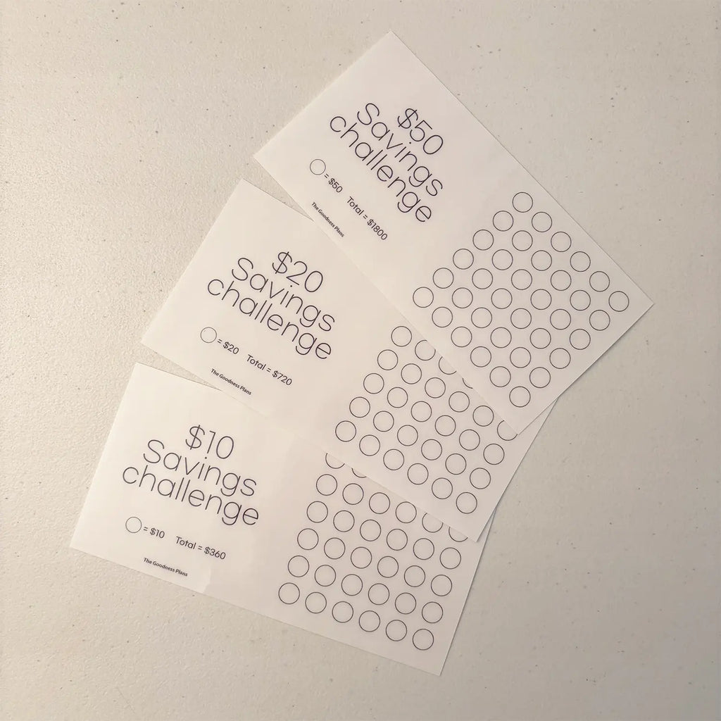 Small Dot Savings Challenge - Total $2880