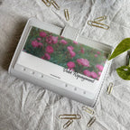 Pink Whispers Cash Envelope