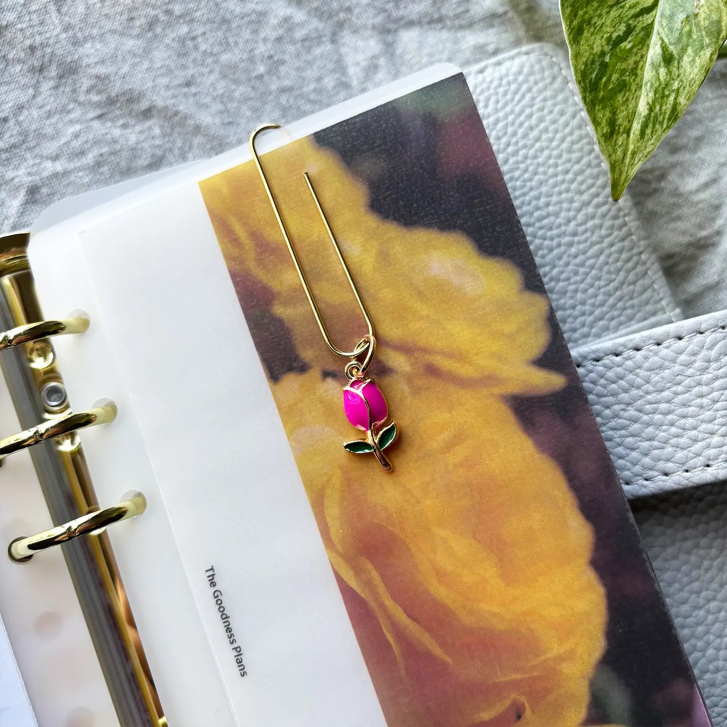 Clip de jardin de roses