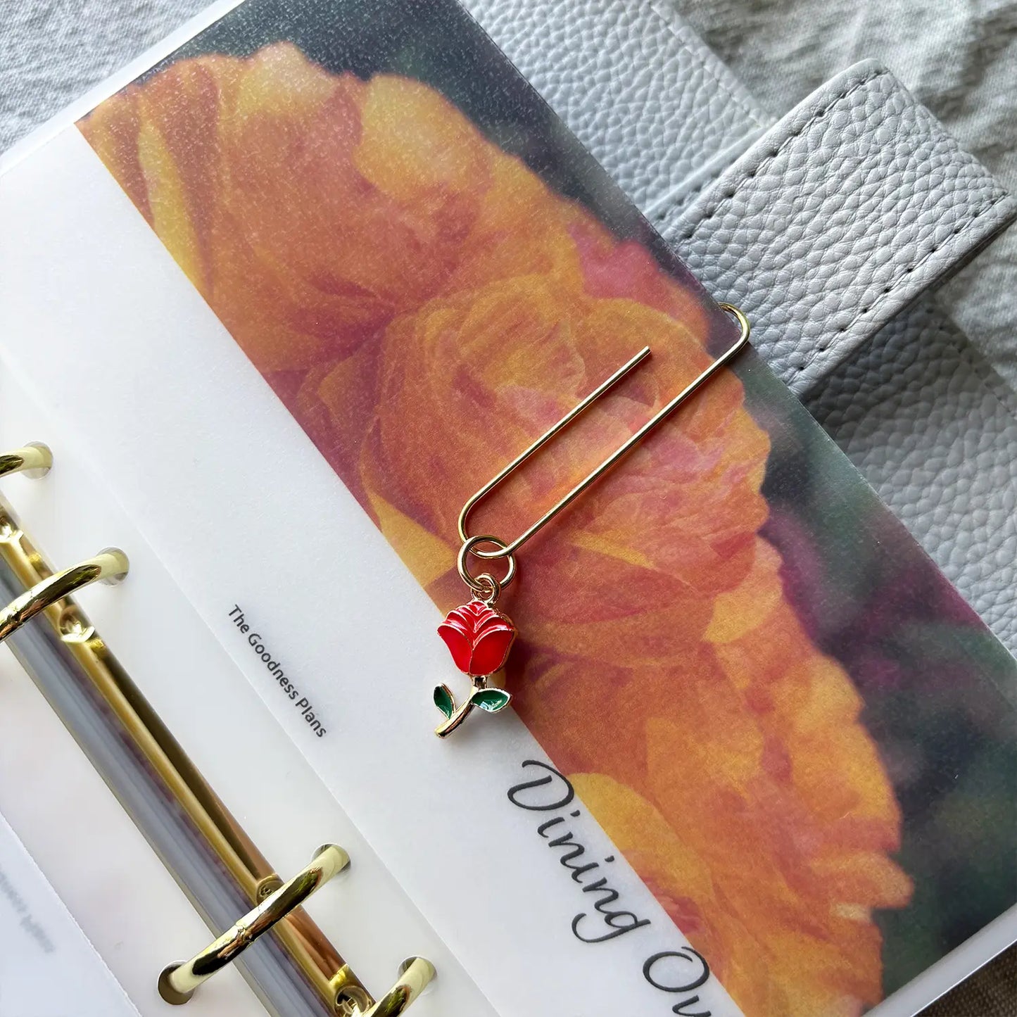 Clip de jardin de roses