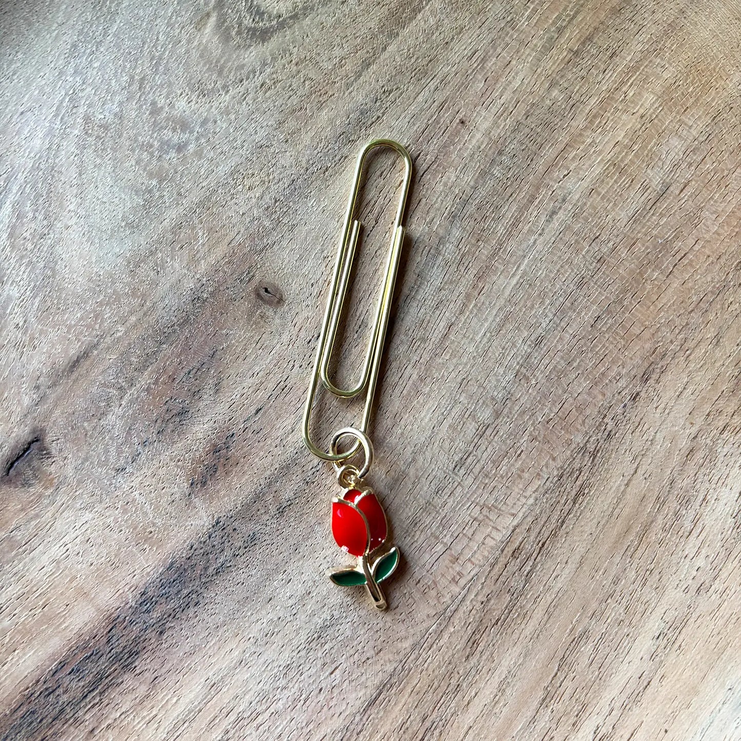 Clip de jardin de roses