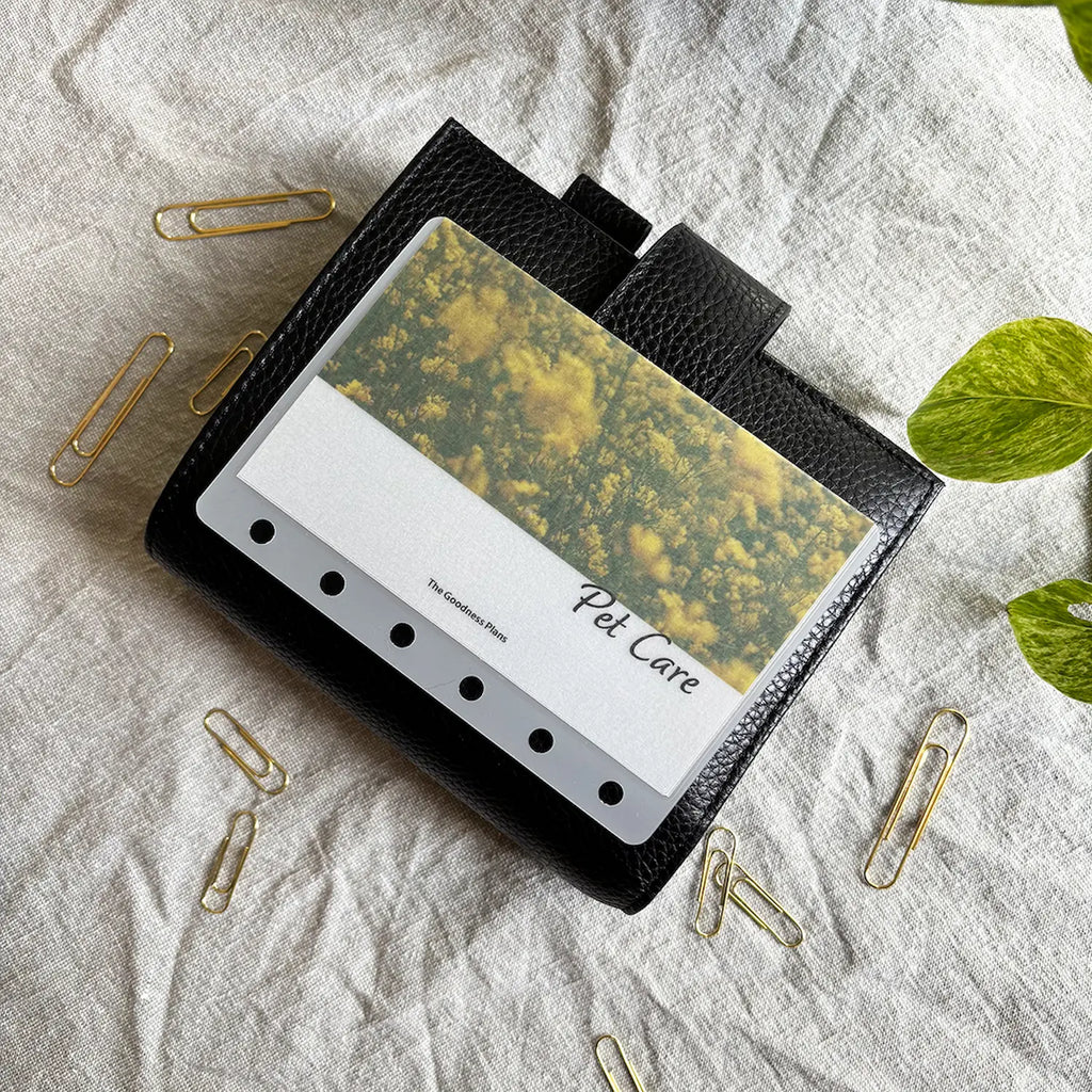 Sunlit Canola Cash Envelope