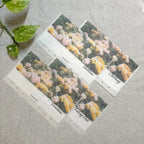 Golden Waves Cash Envelope