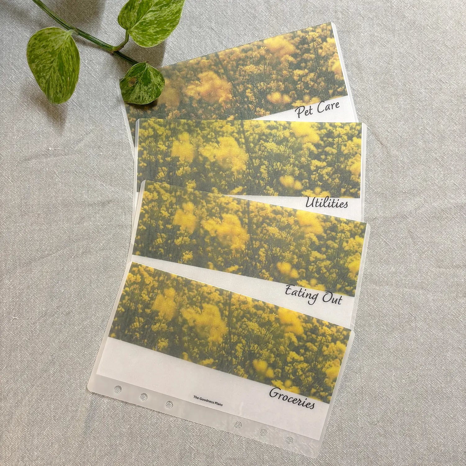 Sunlit Canola Cash Envelope