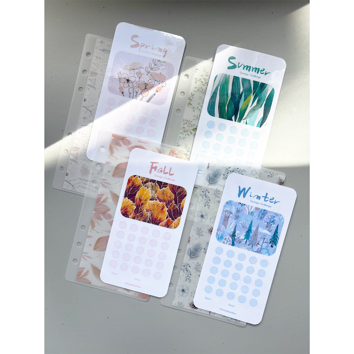 Four Seasons Savings Challenge