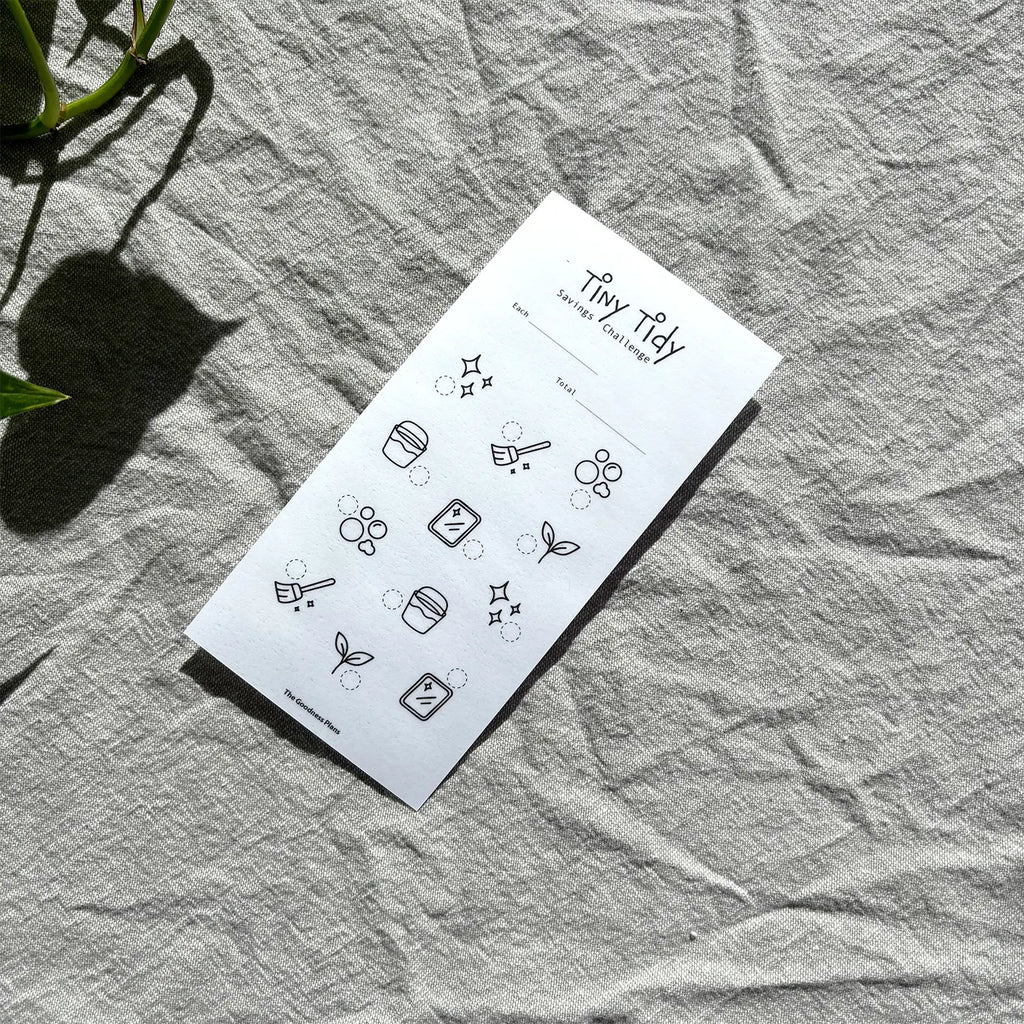 Tiny Tidy Savings Challenge