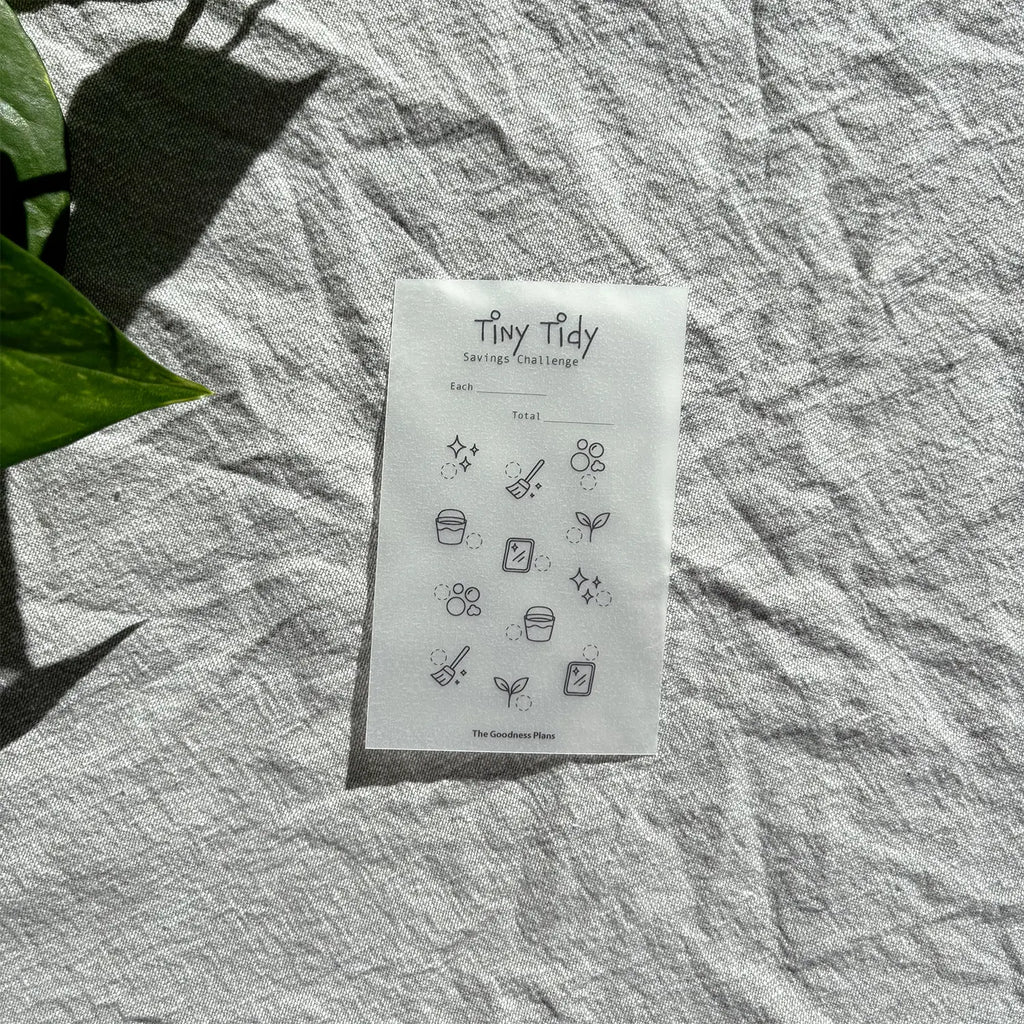 Tiny Tidy Savings Challenge