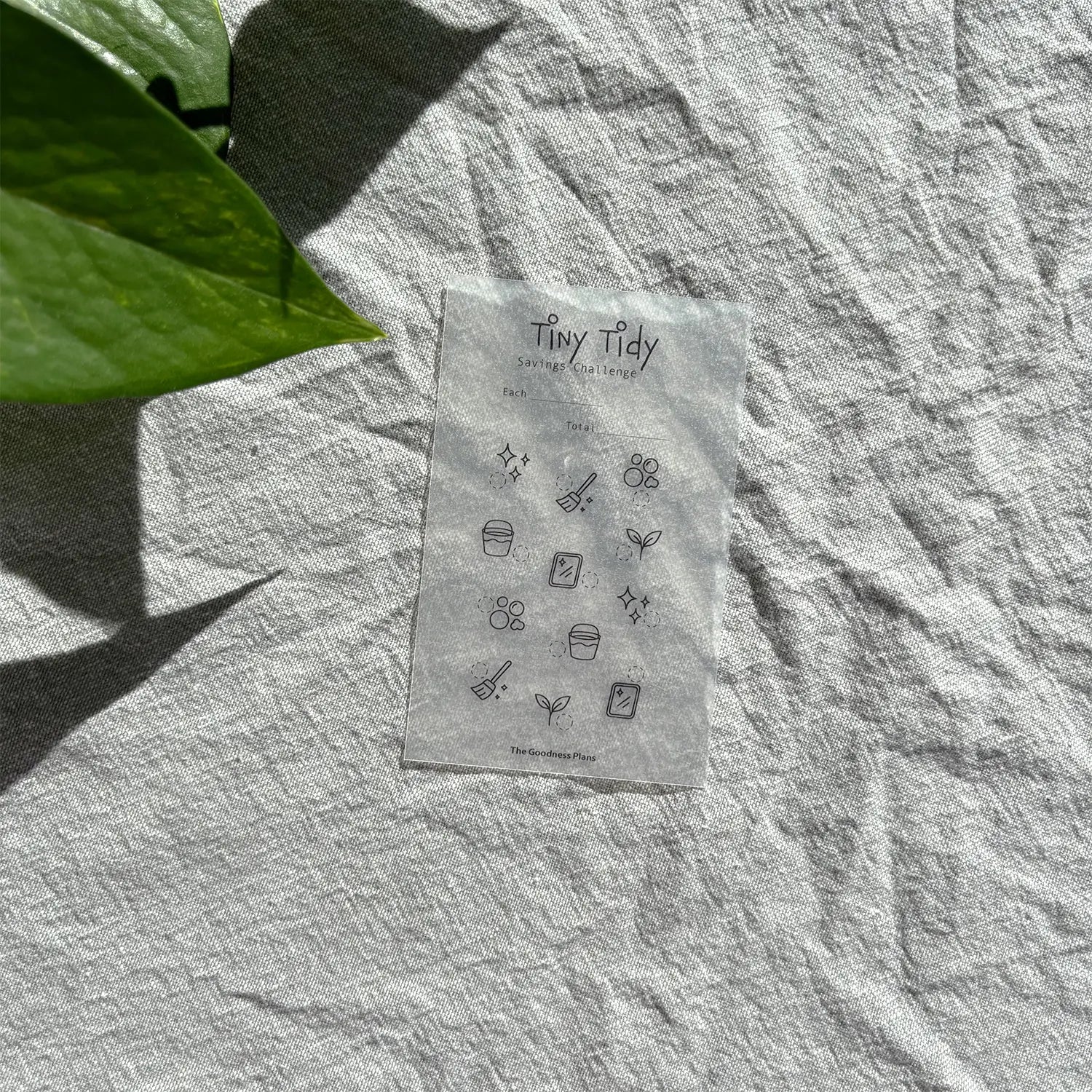 Tiny Tidy Savings Challenge