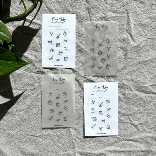 Tiny Tidy Savings Challenge