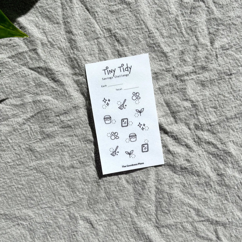 Tiny Tidy Savings Challenge