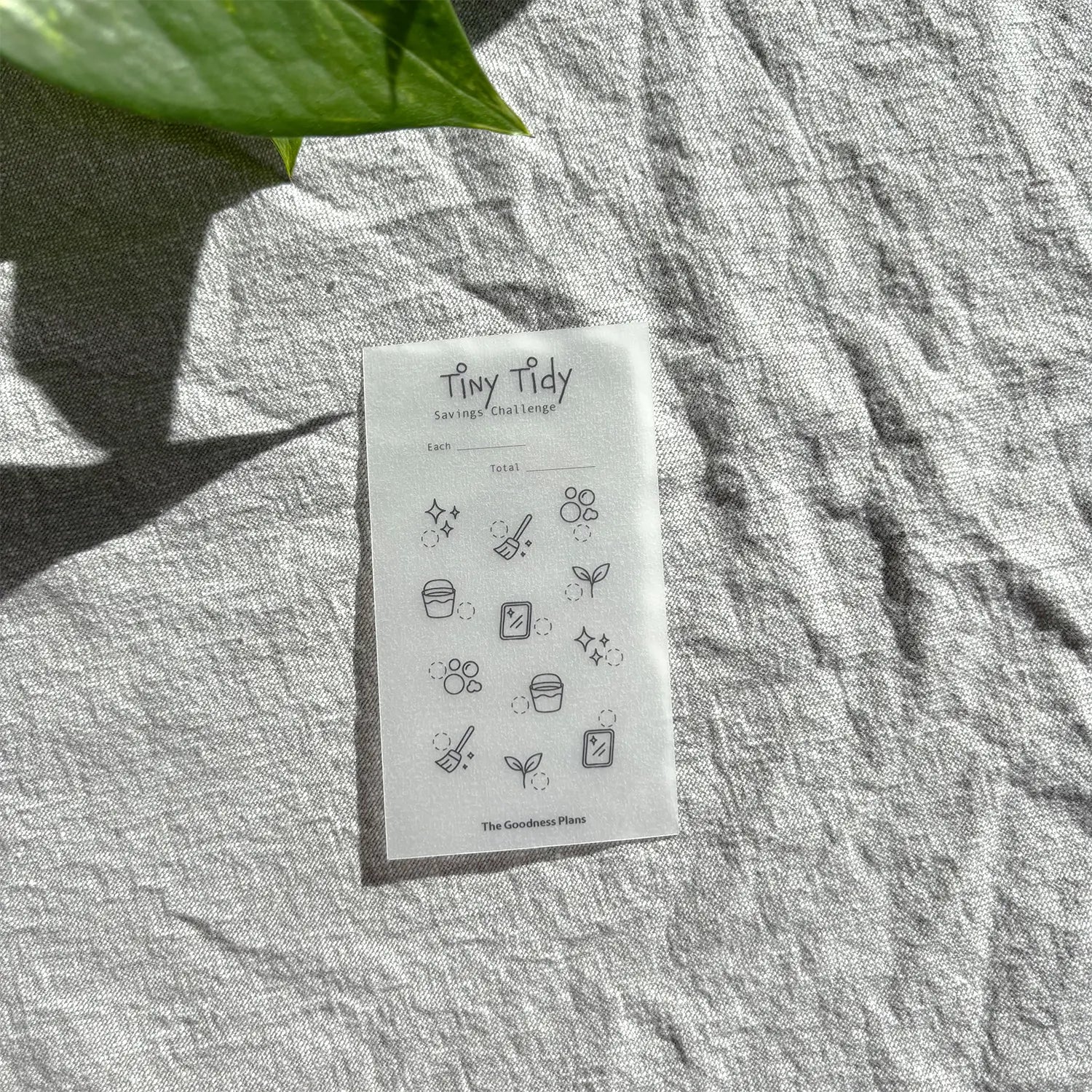Tiny Tidy Savings Challenge