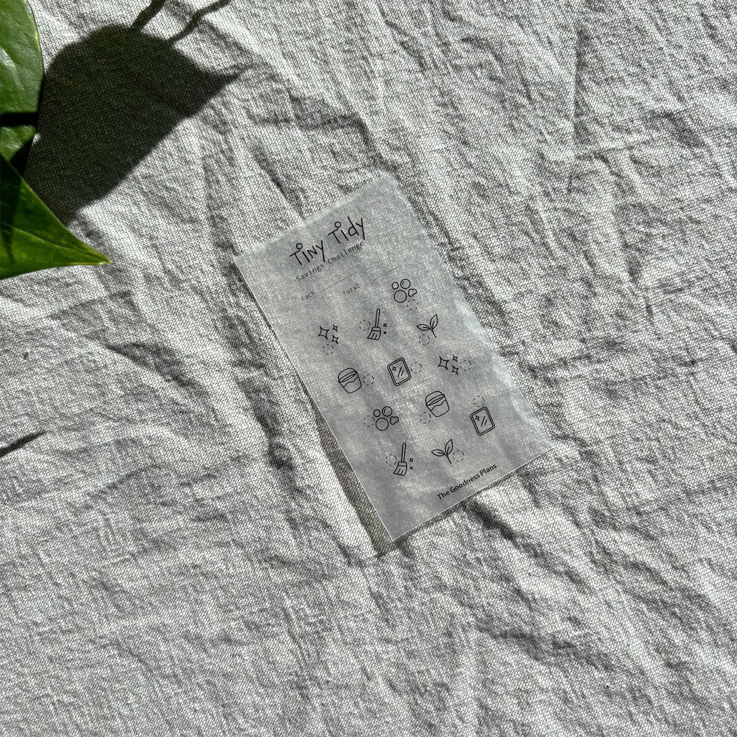 Tiny Tidy Savings Challenge