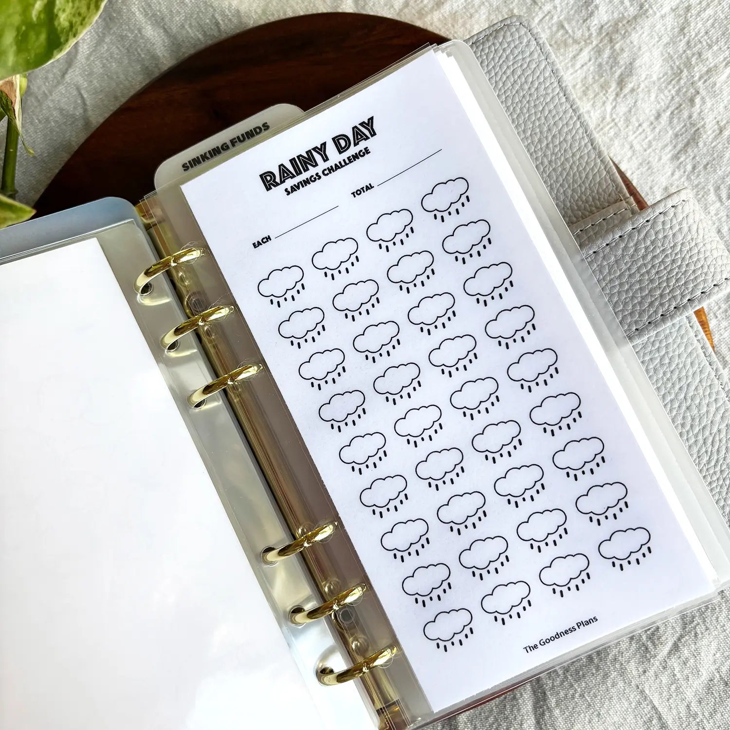 Rainy Day Savings Challenge
