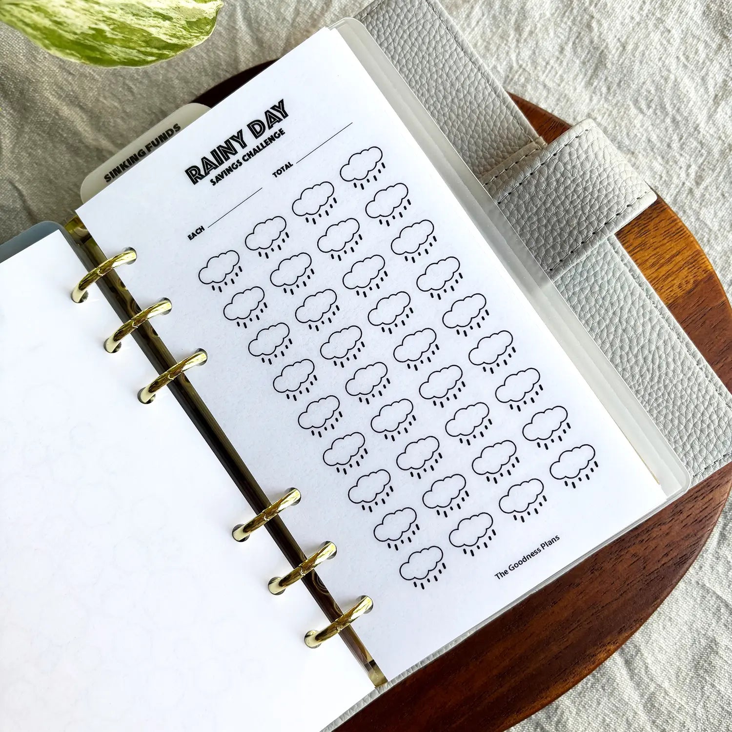 Rainy Day Savings Challenge